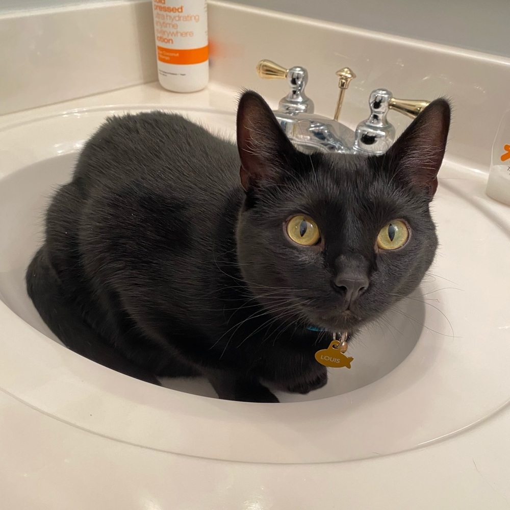 Meet your Posher, Mira